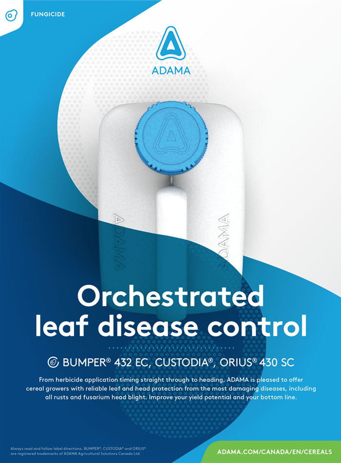 adama-ad