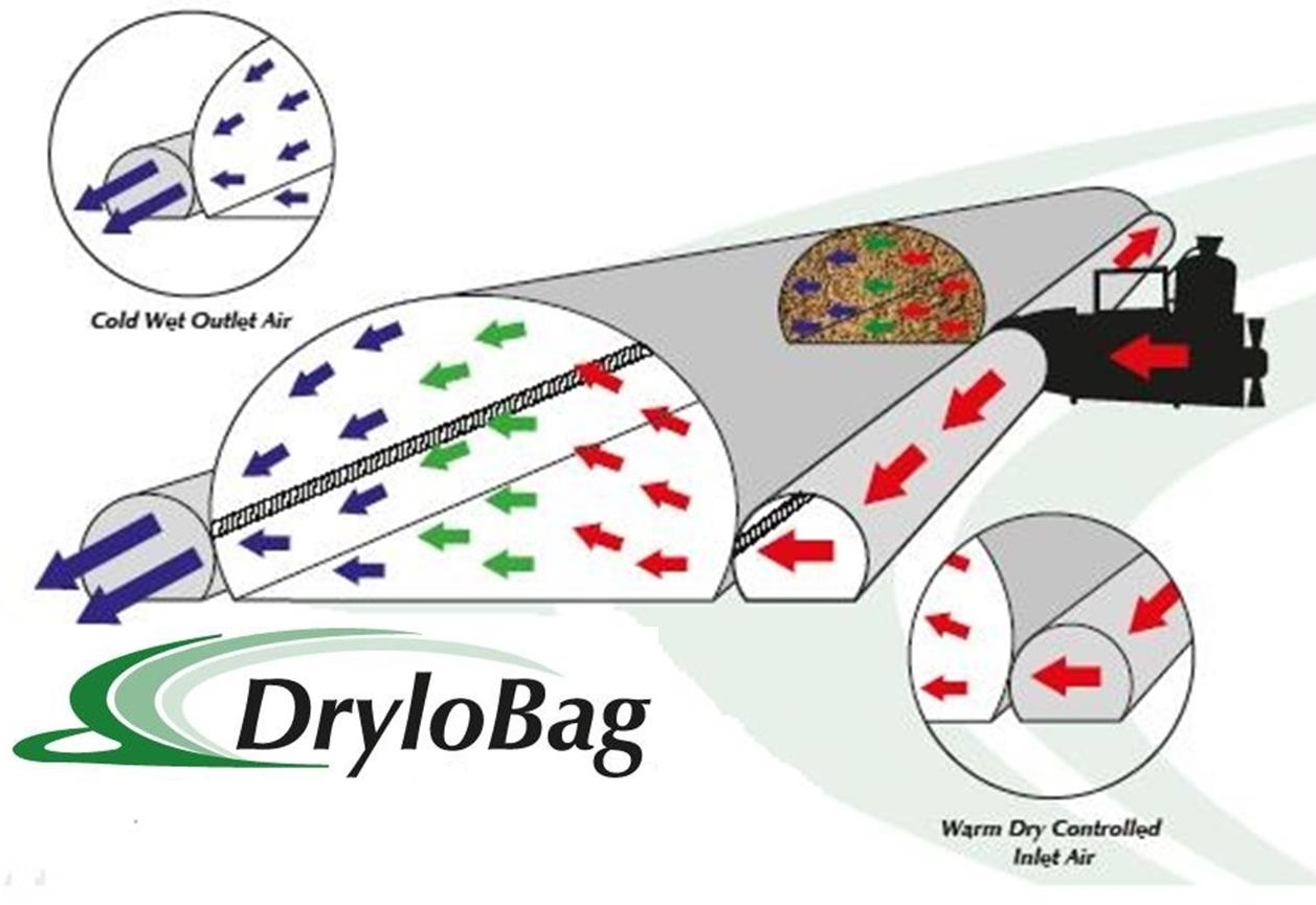 setter-drylobag-picture